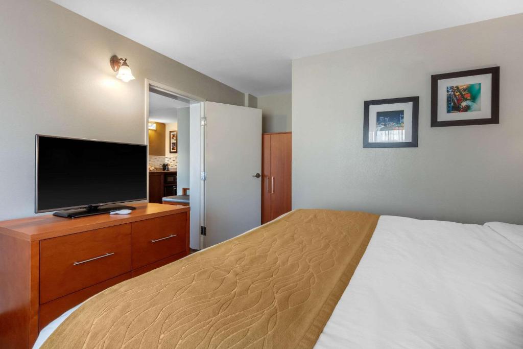 Comfort Inn & Suites - image 4