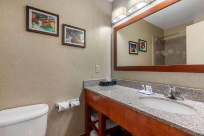 Comfort Inn & Suites - image 7