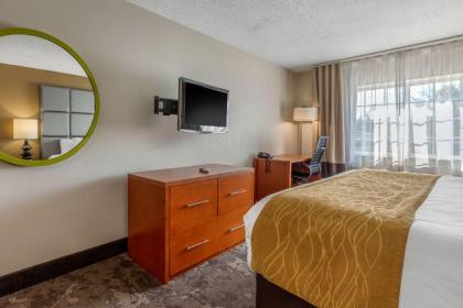 Comfort Inn & Suites - image 9