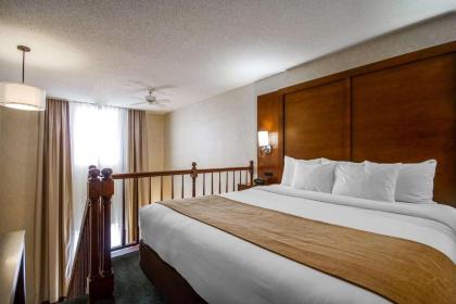 Comfort Suites Appleton Airport - image 10