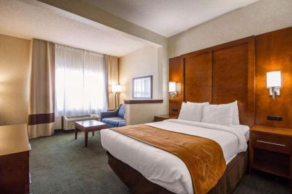 Comfort Suites Appleton Airport - image 3