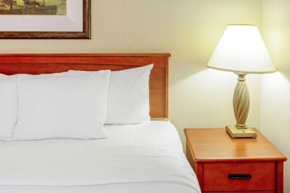 La Quinta by Wyndham Appleton College Avenue - image 12