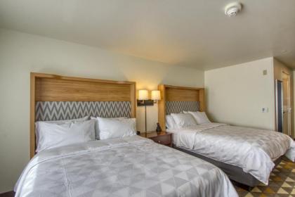 Holiday Inn - Appleton an IHG Hotel - image 3