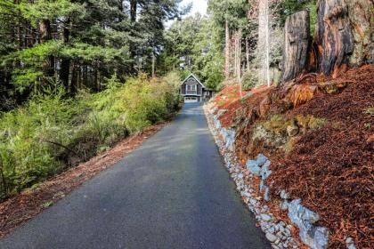 Serene Redwood Retreat - image 15