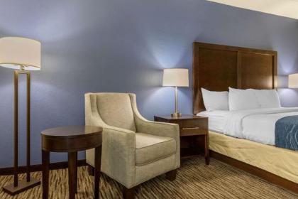 Comfort Inn Arlington Heights-OHare Airport - image 10