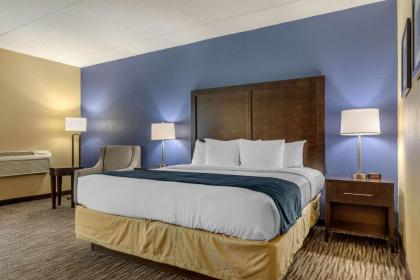 Comfort Inn Arlington Heights-OHare Airport - image 13