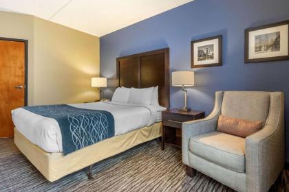 Comfort Inn Arlington Heights-OHare Airport - image 18