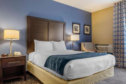 Comfort Inn Arlington Heights-OHare Airport - image 2