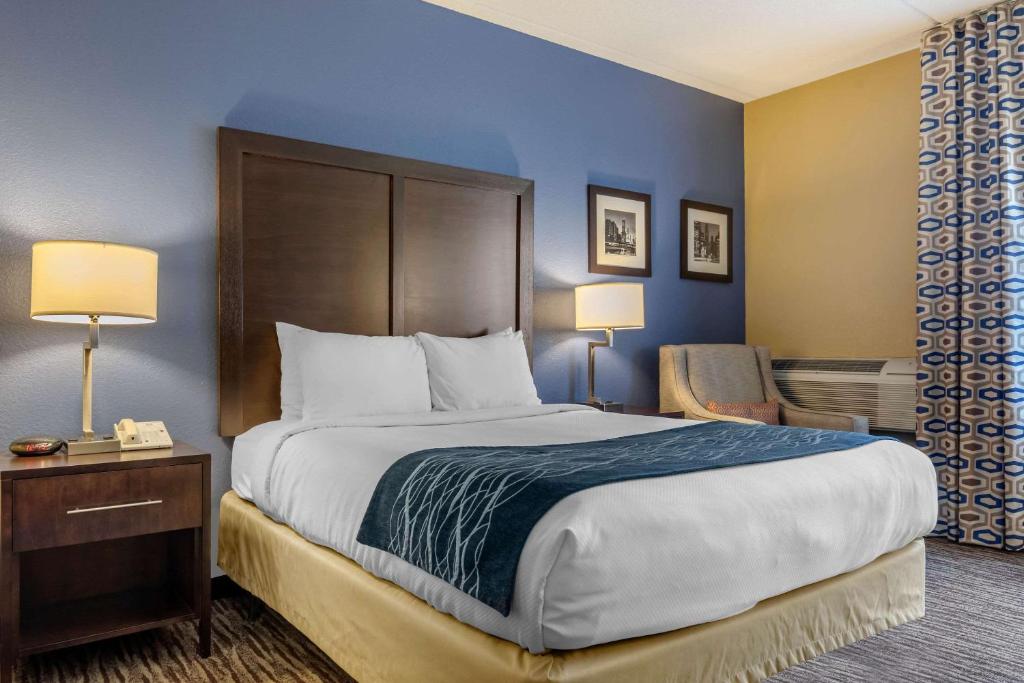 Comfort Inn Arlington Heights-OHare Airport - image 2