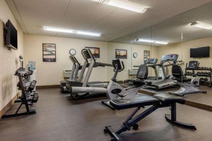 Comfort Inn Arlington Heights-OHare Airport - image 4
