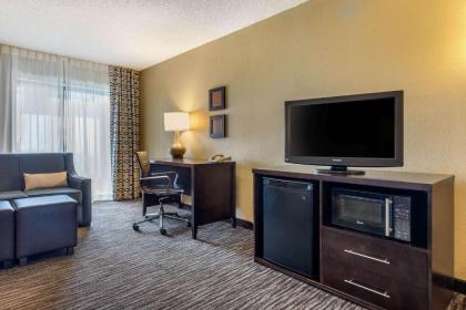 Comfort Inn Arlington Heights-OHare Airport - image 5