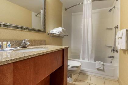 Comfort Inn Arlington Heights-OHare Airport - image 8
