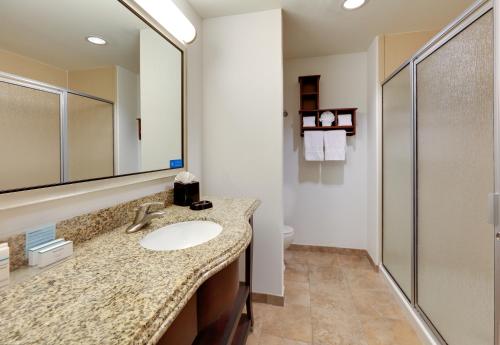 Hampton Inn & Suites Dallas-Arlington-South - image 3