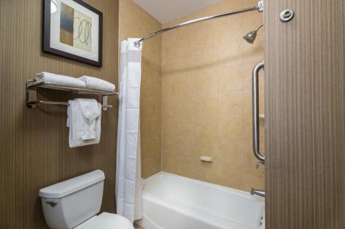 Holiday Inn Arlington Northeast an IHG Hotel - image 5