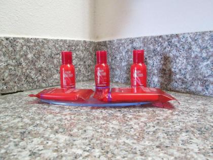 SureStay Plus Hotel by Best Western Asheboro - image 4