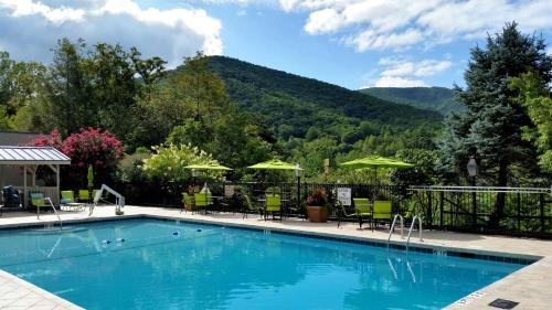 Holiday Inn Asheville East an IHG Hotel - image 4