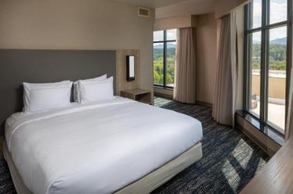 Hilton Asheville Biltmore Park - image 5