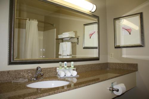 Country Inn & Suites by Radisson Asheville at Asheville Outlet Mall NC - image 4