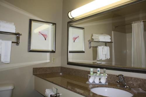 Country Inn & Suites by Radisson Asheville at Asheville Outlet Mall NC - image 5