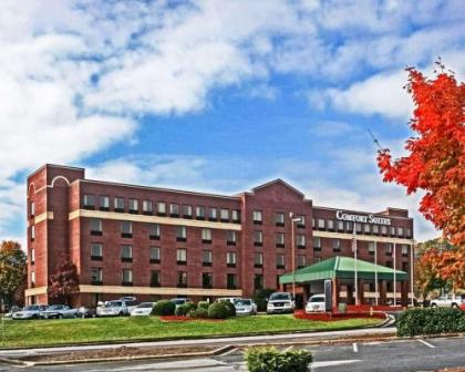 Comfort Suites Outlet Center Asheville