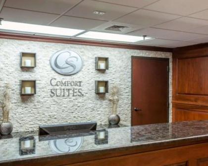 Comfort Suites Outlet Center - image 2