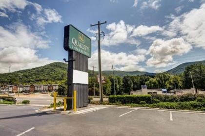 Quality Inn & Suites Biltmore East - image 5