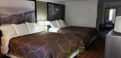 Super 8 by Wyndham Asheville/Biltmore - image 3