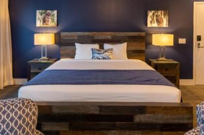 The Residences at Biltmore - Asheville - image 5
