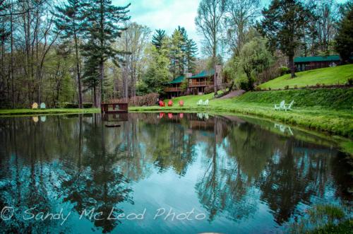 Asheville Cabins of Willow Winds - main image