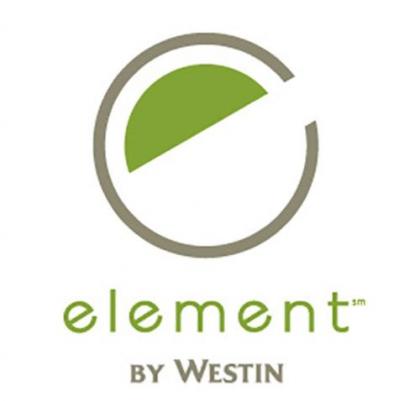 Element Asheville Downtown - image 1