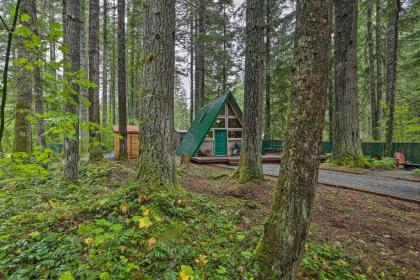 Quiet A-Frame Cabin Walk to Nisqually River - image 15