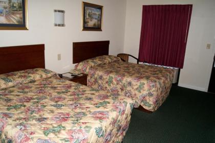 American Inn and Suites - image 11