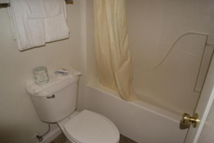American Inn and Suites - image 2