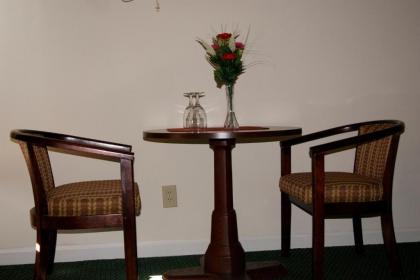 American Inn and Suites - image 8