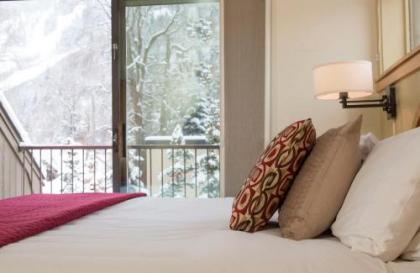 Aspen Mountain Lodge - image 3