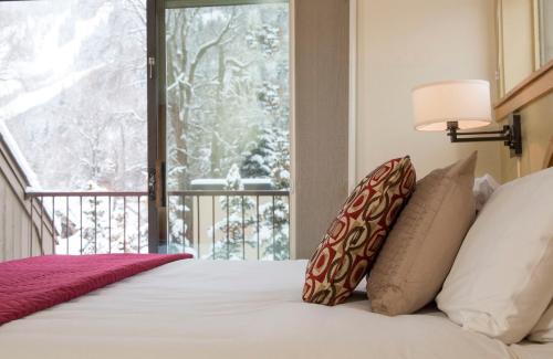 Aspen Mountain Lodge - image 3