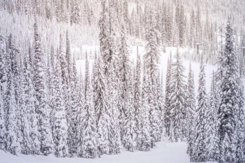 Mountain Queen #1 - main image