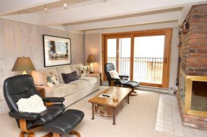 Holiday homes in Aspen Colorado