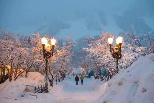 Downtown Aspen Condominiums - image 5