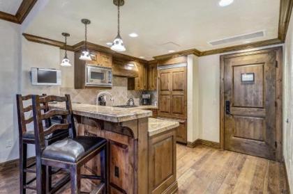 Aspen Grand Hyatt Residence - image 4
