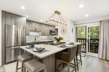 Designer Condo on River - Steps to Aspen Center! - image 12