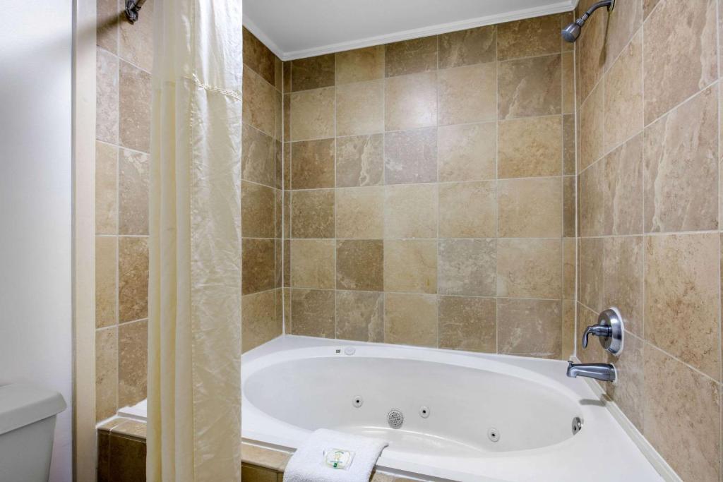 Quality Inn Athens I-65 / Huntsville Area West - image 4