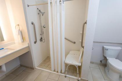 Holiday Inn Express Hotel & Suites Athens an IHG Hotel - image 9