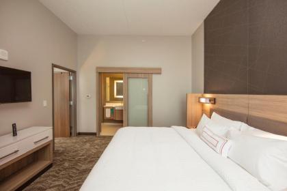 Springhill Suites By Marriott Athens Downtown/University Area - image 11