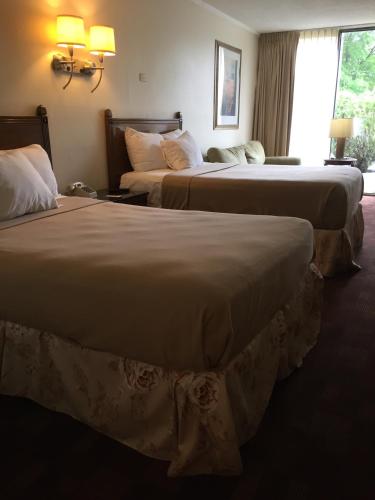 Cheshire Motor Inn - image 4