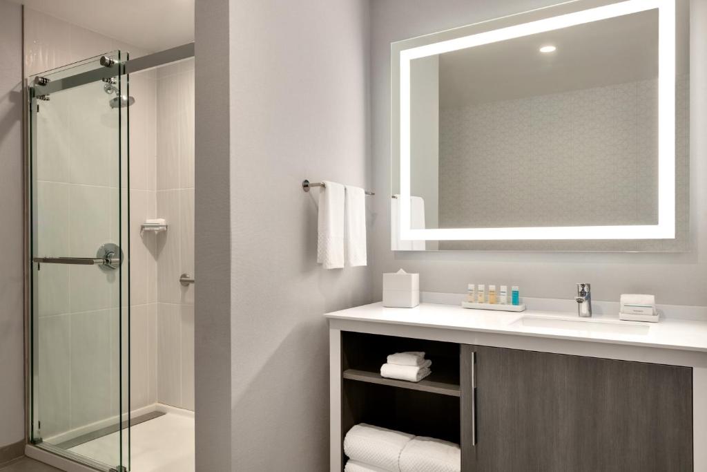 Embassy Suites by Hilton Atlanta Midtown - image 6