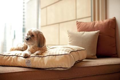 Thompson Buckhead - image 5
