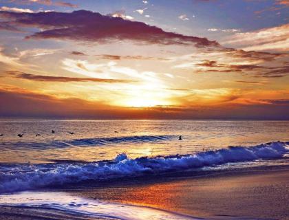 Beautiful Crystal Coast Apartments on Atlantic Beach - image 3