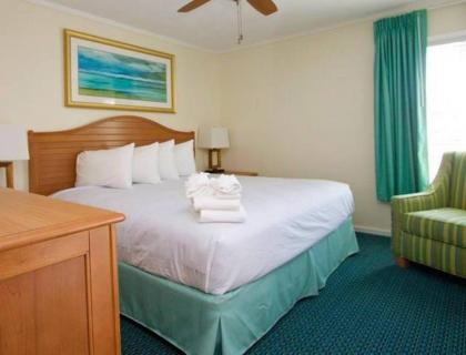 Beautiful Crystal Coast Apartments on Atlantic Beach - image 9