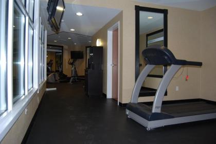 Holiday Inn Express Hotel & Suites Auburn Hills an IHG Hotel - image 12